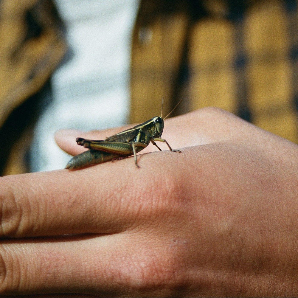 Meet your Posher, Kintla